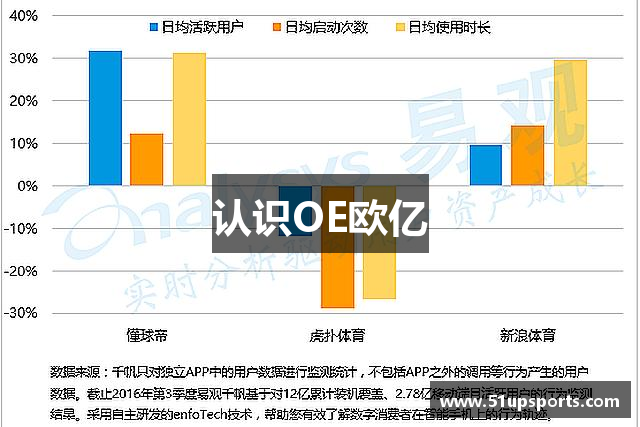 认识OE欧亿